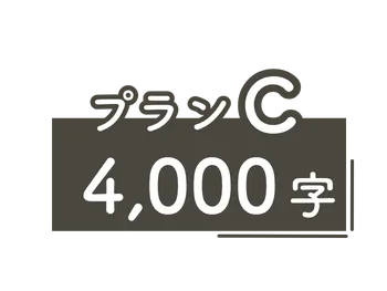 プラン3